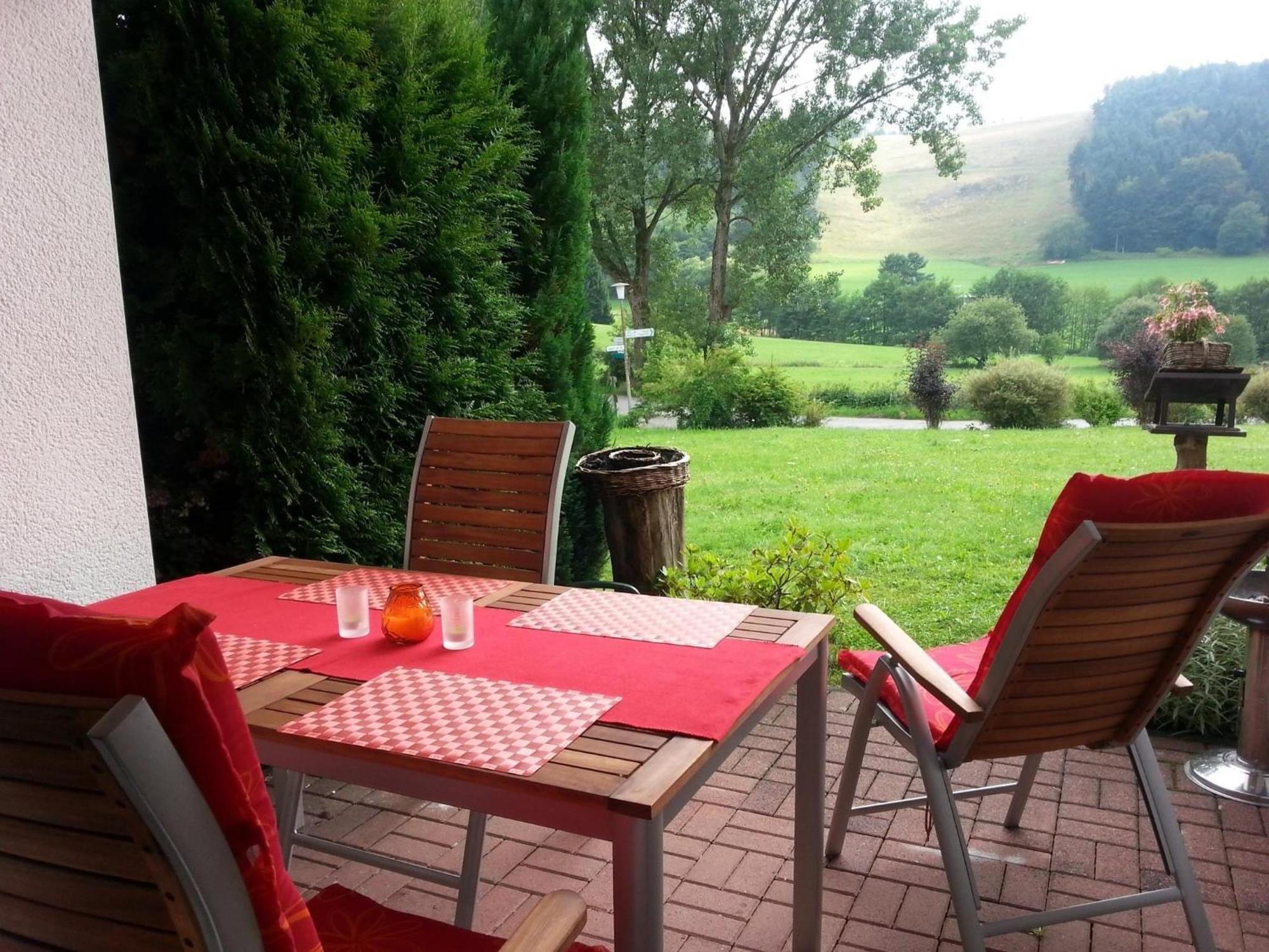Cosy Apartment Over Usseln With Private Terrace Виллинген Экстерьер фото